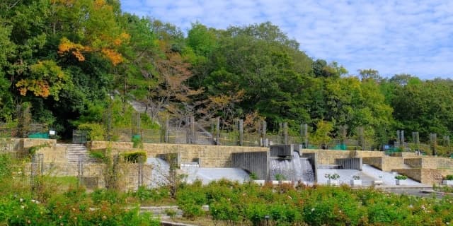 兵庫県 加東市 兵庫県立播磨中央公園 風景