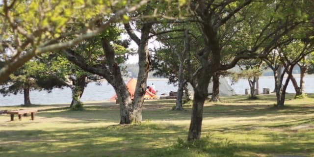 茨城県 茨城町 風景 涸沼キャンプ場