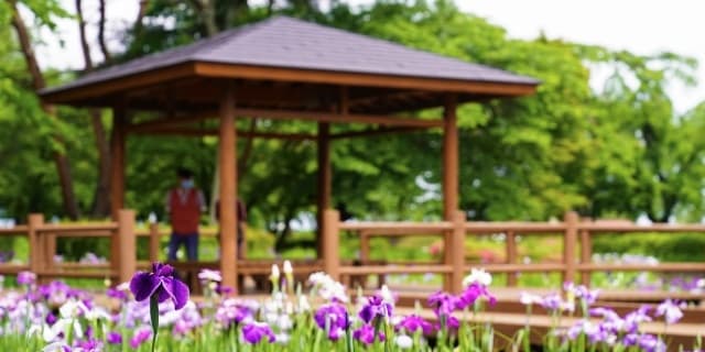 福島県 鏡石町 風景 鳥見山公園